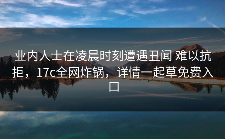 业内人士在凌晨时刻遭遇丑闻 难以抗拒,17c全网炸锅,详情一起草免费入口