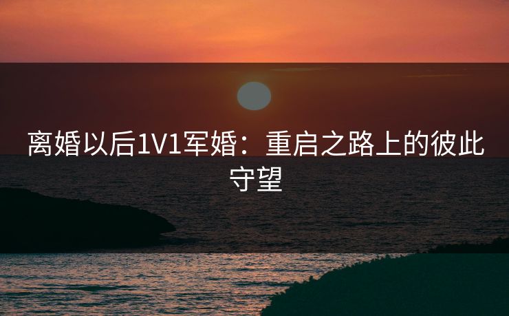 离婚以后1V1军婚：重启之路上的彼此守望